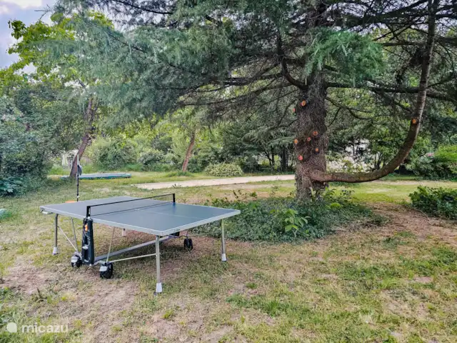 B&B BienViennue - Descartes 2-4p | France, Indre-et-Loire, Marcilly-sur-Vienne - chambres d'hôtes Table de ping-pong