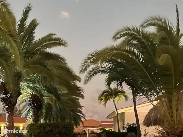 Casa Cees huren in Curaçao, Banda Ariba (oost), Santa Catharina - vakantiehuis Santa Catharina Resort is een sfeervol park met tropische beplanting.