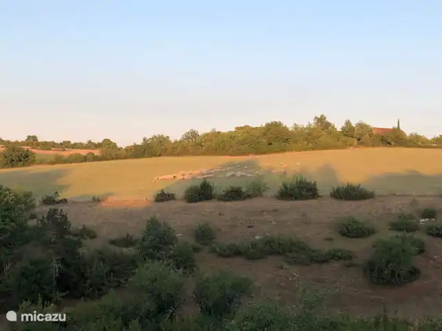 bed & breakfast huren in Frankrijk, Lot, Calès (Lot) – Maison Bonnecoste B&B - Schuur 8p