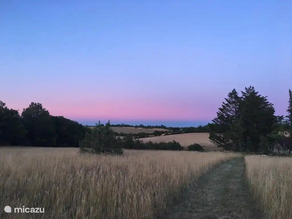 Spazieren Sie und genießen Sie den wunderschönen Sonnenuntergang auf der Domäne