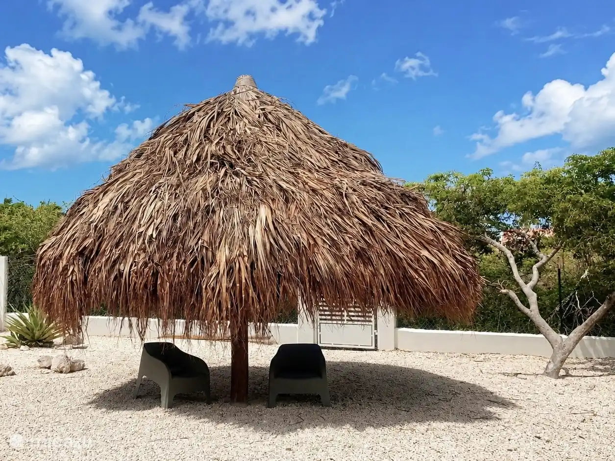 Un palapa dans le jardin, c’est agréable au vent. Recommandé aussi le soir. 