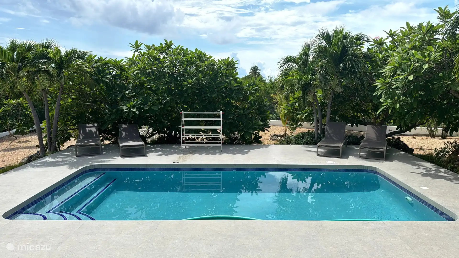 View of pool and garden from the veranda.