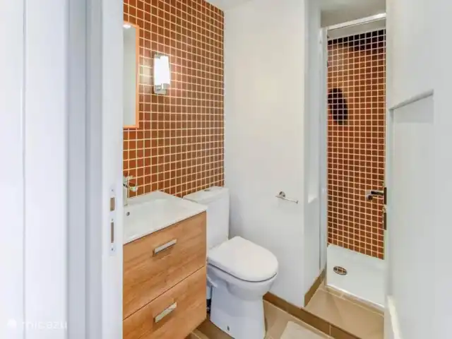 Location de Vacances France, Var, Cavalaire-sur-Mer, maison de vacances - Villa Balou Salle de Bains