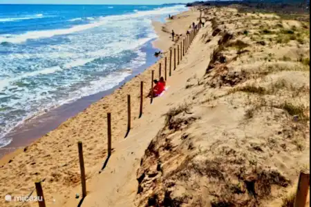 Mucho que hacer en Guardamar y sus alrededores.