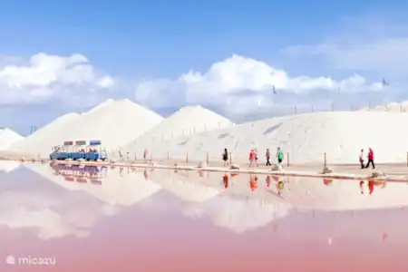 Mucho que hacer en Guardamar y sus alrededores.