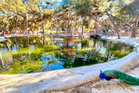 Mucho que hacer en Guardamar y sus alrededores.