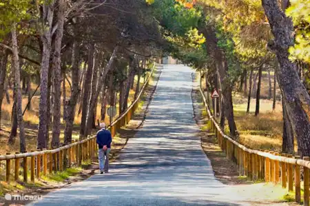 Mucho que hacer en Guardamar y sus alrededores.