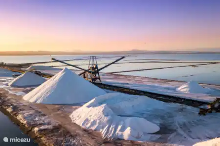 Mucho que hacer en Guardamar y sus alrededores.