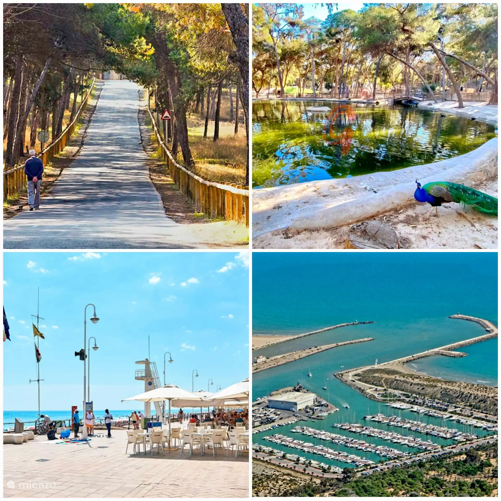 Eindruck Guardamar:
Dünengebiet
Park Reina Sofia im Zentrum
Angenehmer Boulevard
Der Hafen