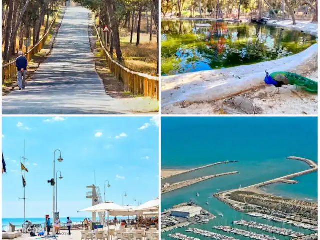 Location de Vacances Espagne, Costa Blanca, Guardamar del Segura, appartement - Appartement abordable Marjal Beach Impression Guardamar :
Zone dunaire
Parc Reina Sofia au centre
Boulevard agréable
Le port