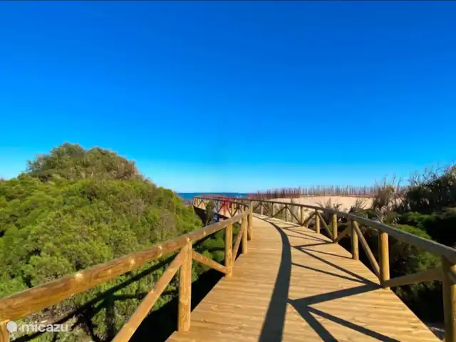 Location de Vacances Espagne, Costa Blanca, Guardamar del Segura, appartement - Appartement abordable Marjal Beach Merveilleuses possibilités de marche et de vélo dans la région.
