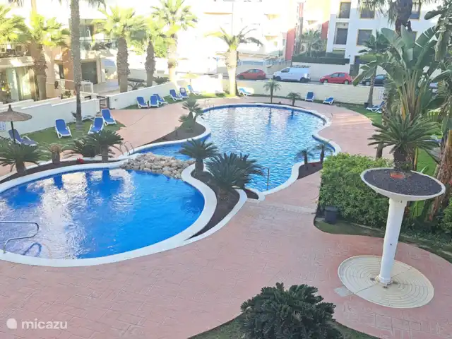 Location de Vacances Espagne, Costa Blanca, Guardamar del Segura, appartement - Appartement abordable Marjal Beach Grande piscine extérieure avec chaises longues, ouverte toute l’année.