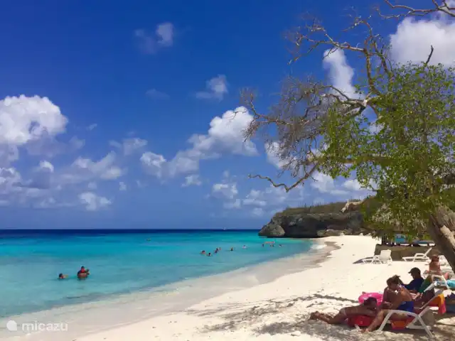 Boutique Studio Brisa - Seru Coral | Curaçao, Curaçao-Centre, Partisan du corail - studio Playa CasAbou Curaçao
