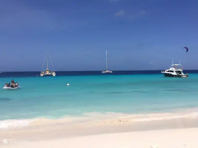 Boutique Studio Brisa - Seru Coral | Curaçao, Curaçao-Centre, Partisan du corail - studio Klein Curaçao