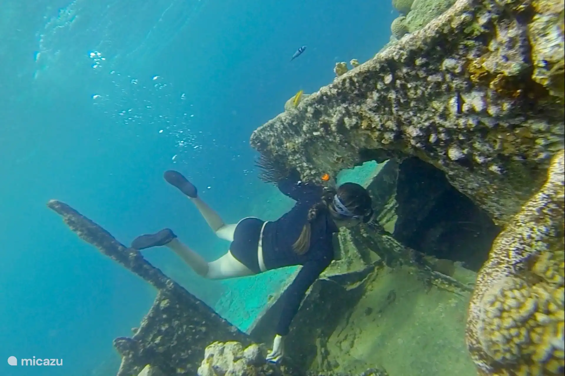 Schnorcheln am Tugboat Beach