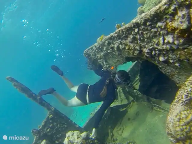 Boutique Studio Brisa - Seru Coral | Curaçao, Curaçao-Centre, Partisan du corail - studio Plongée en apnée à la plage de Tugboat