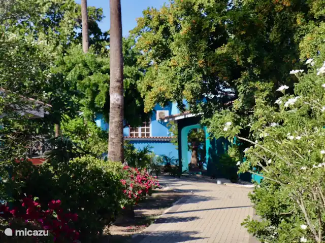 Boutique Studio Brisa - Seru Coral | Curaçao, Curaçao-Centre, Partisan du corail - studio Jardin tropical Seru Coral Resort