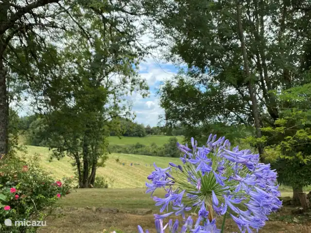 A Soulas huren in Frankrijk, Gers, Armous-et-Cau  - villa sfeerfoto tuin