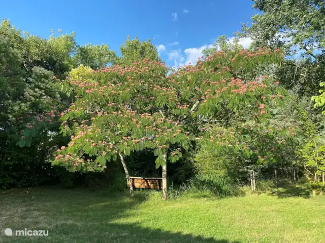 A Soulas huren in Frankrijk, Gers, Armous-et-Cau  - villa bloeiende boom bij vijver
