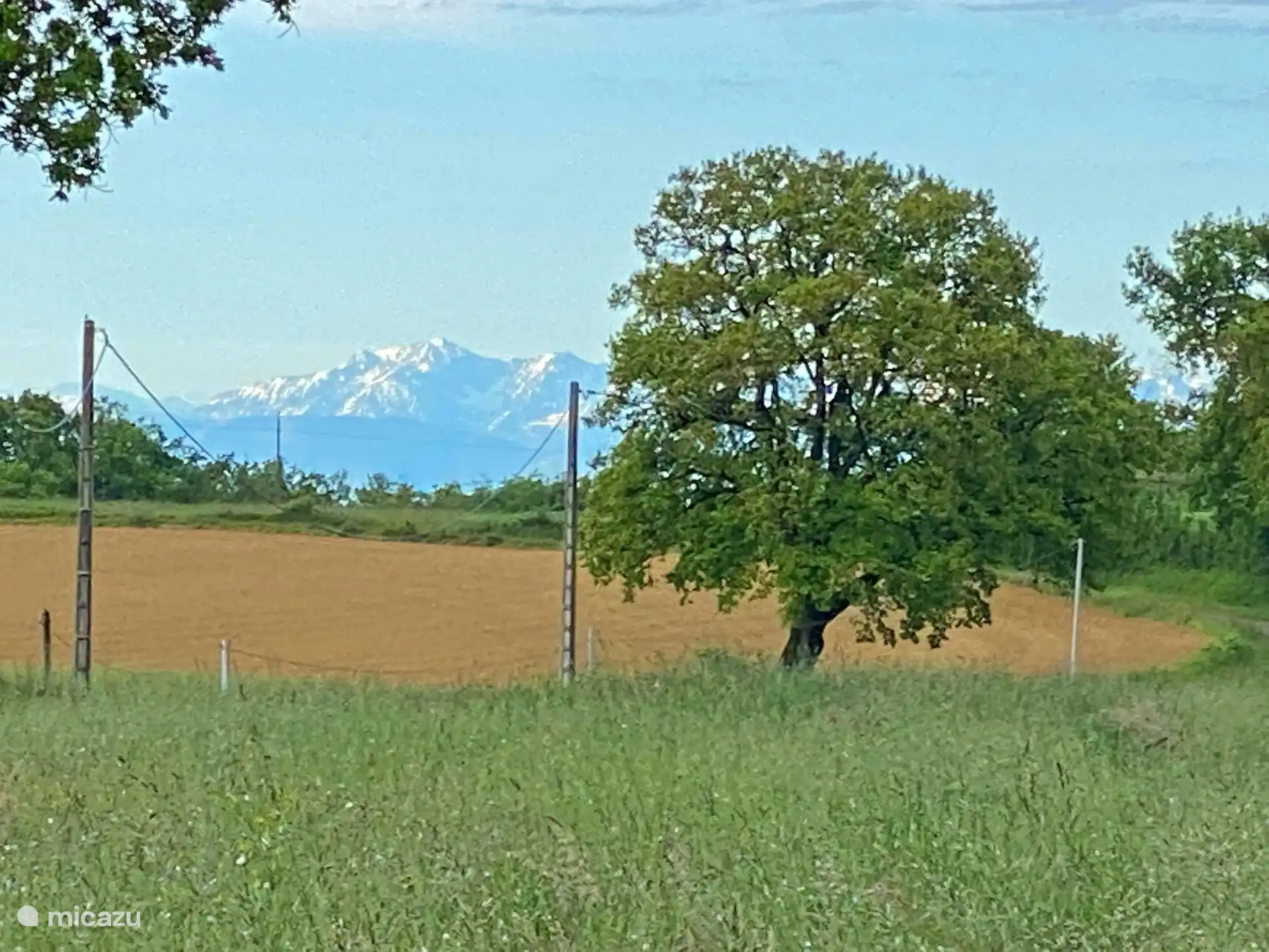 An klaren Tagen können Sie in der Ferne die schönen weißen Gipfel der Berge sehen. Im Sommer, wenn die Luft sehr heiß ist, sind keine Berggipfel zu sehen. Schön im Frühling zu sehen.