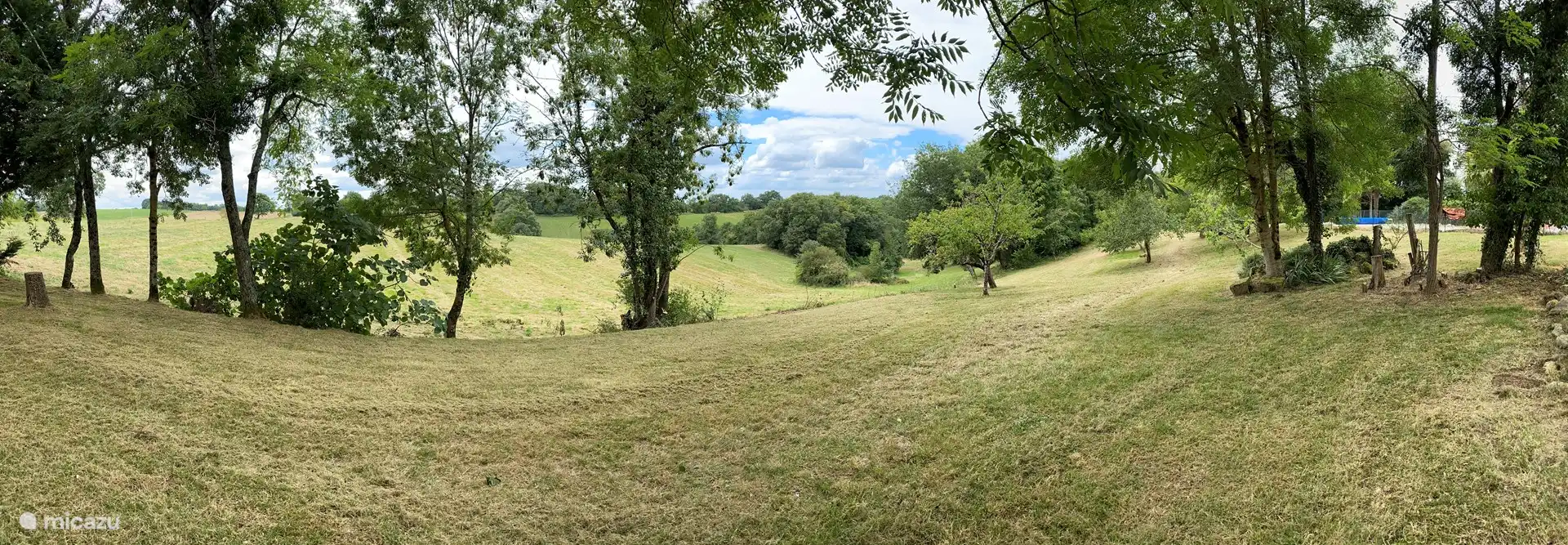 Blick auf den Garten