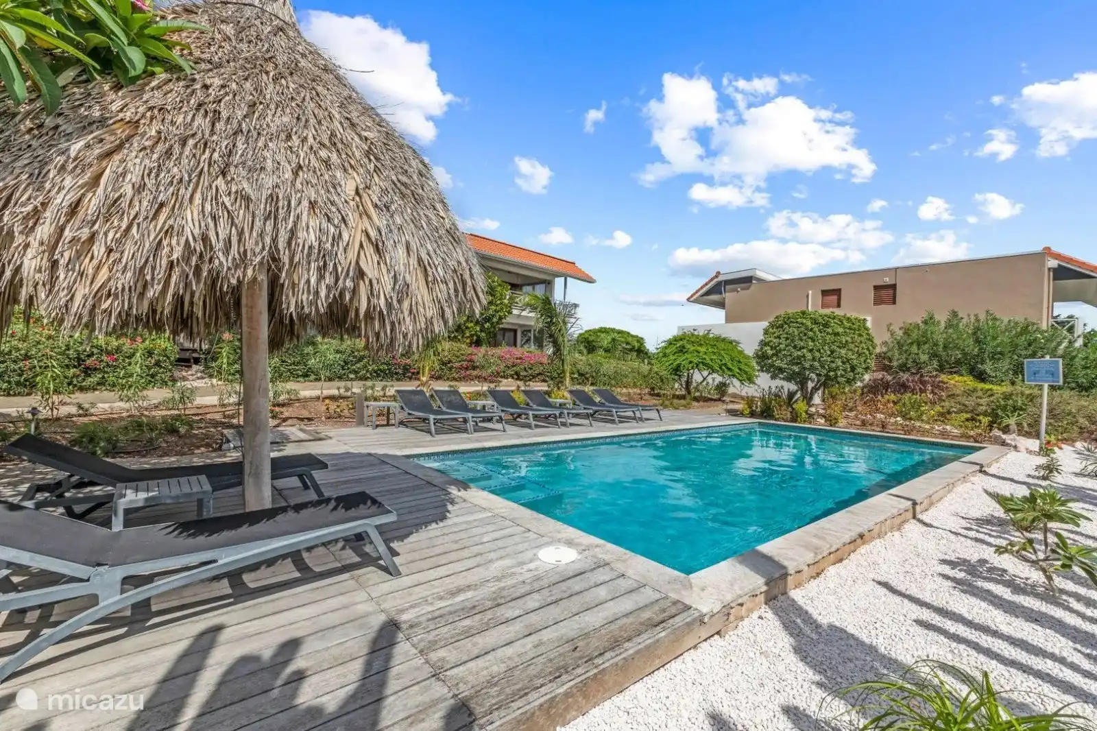 Piscine avec transats