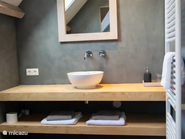 Maison de ferme | Pays-Bas, Limbourg, Evertsoord - maison de vacances Salle de bain avec douche à l’italienne spacieuse, lavabo et toilettes.