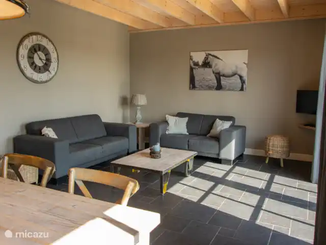 Le Peelrand | Pays-Bas, Limbourg, Evertsoord - maison de vacances Salon avec TV, coin salon confortable et portes-fenêtres donnant sur la terrasse privée donnant sur l’aire de jeux