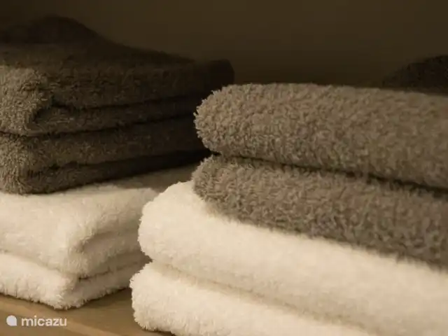 Le Peelrand | Pays-Bas, Limbourg, Evertsoord - maison de vacances 2 serviettes par personne sont prêtes à arriver dans la salle de bain