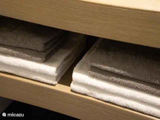 t’Veenhuis | Pays-Bas, Limbourg, Evertsoord - maison de vacances 2 serviettes par personne disponibles dans la salle de bain