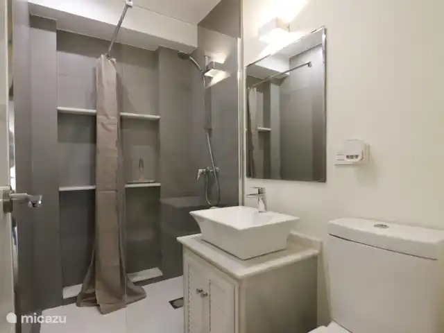 Location de Vacances Espagne, Costa del Sol, Estepona, appartement - Front de mer - Costa y Sol Salle de bain 1, douche, lavabo, toilettes.