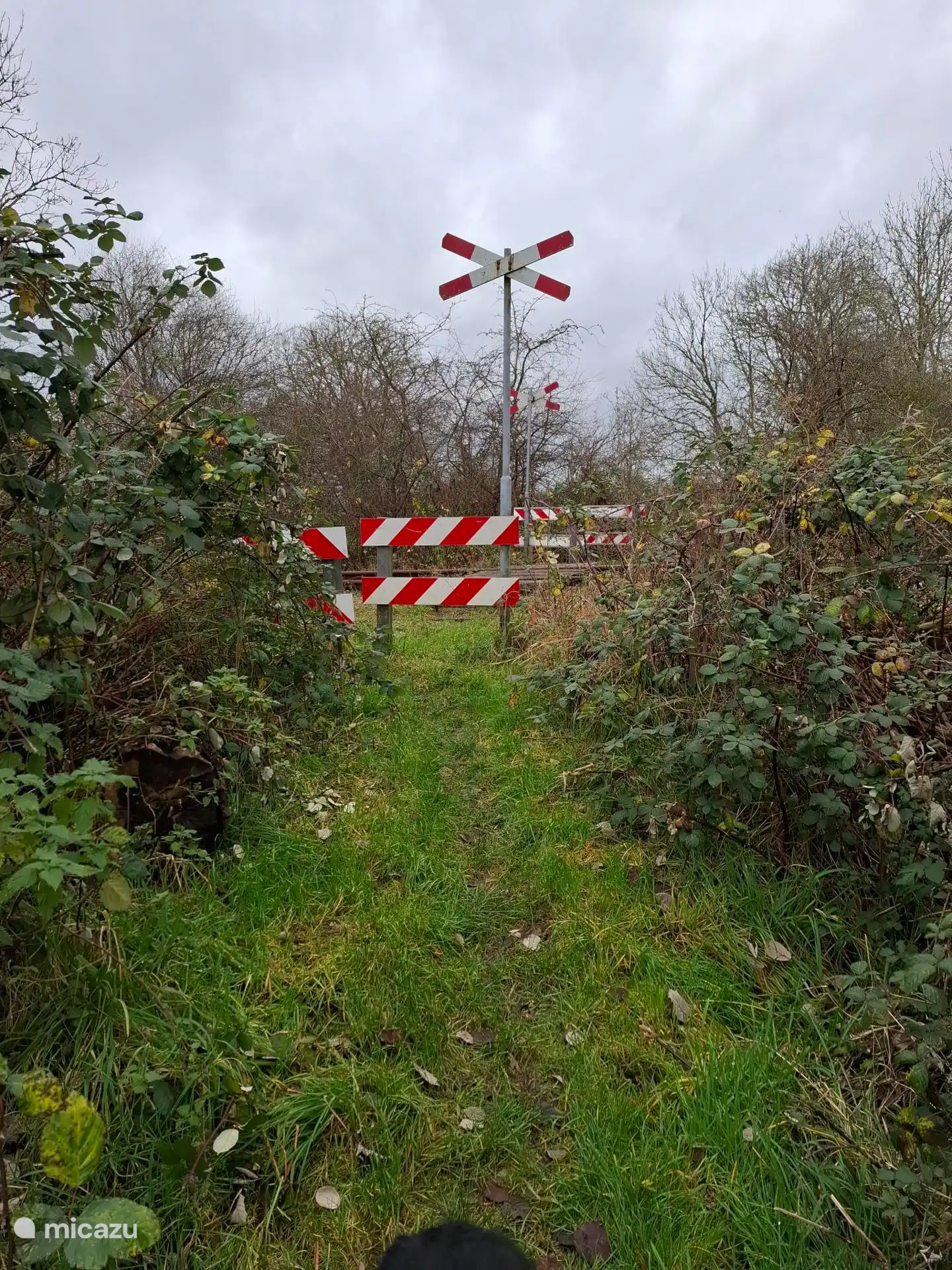Es gibt zahlreiche Wanderwege in der Umgebung, über Deiche, durch Heckenflächen und durch Wiesen