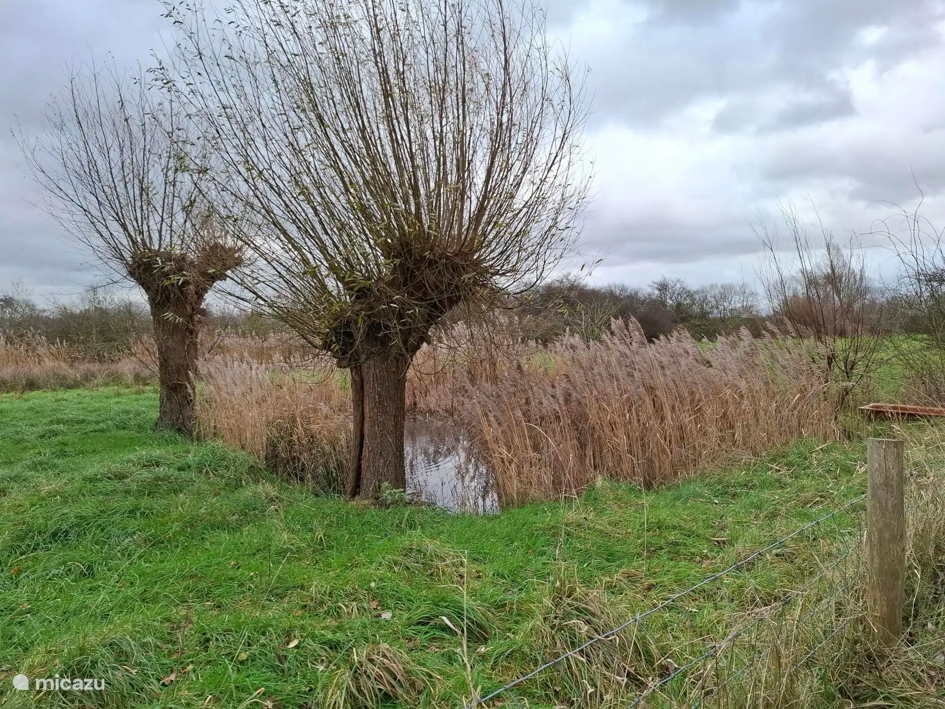 Bei den Wanderungen passieren Sie abwechslungsreiche Landschaften und Kleinode.