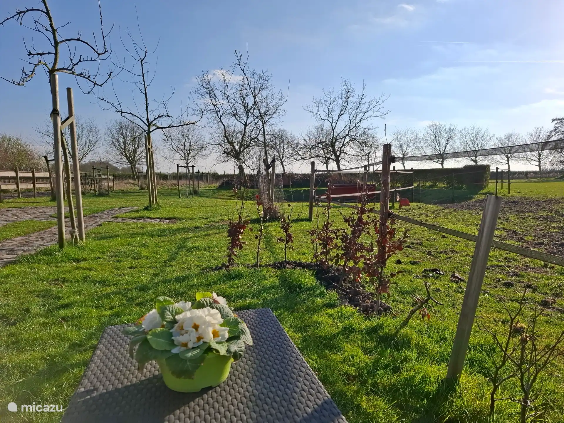 Blick von der Außenterrasse. 