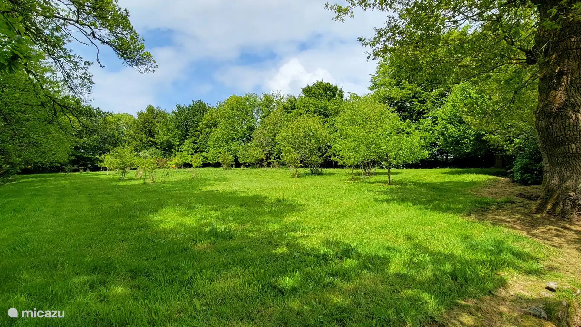 Champ d’arrière-plan