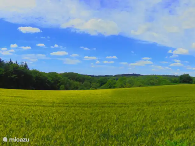 casa vacacional en Francia, Morbihan, Ploërdut – Valles de Kergue - La chouette el campo adyacente, paz y tranquilidad garantizadas