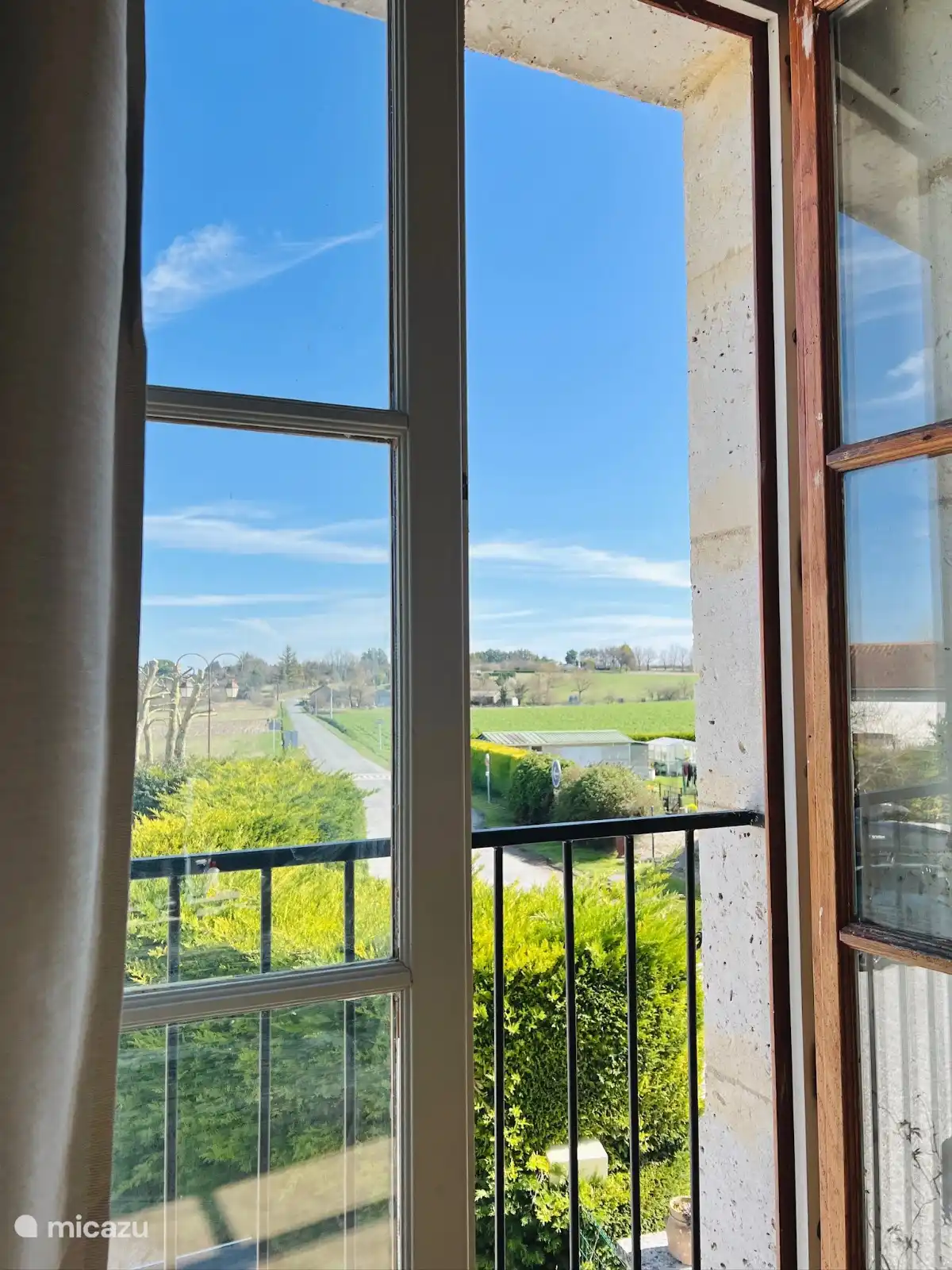 Blick über die Sonnenblumenfelder