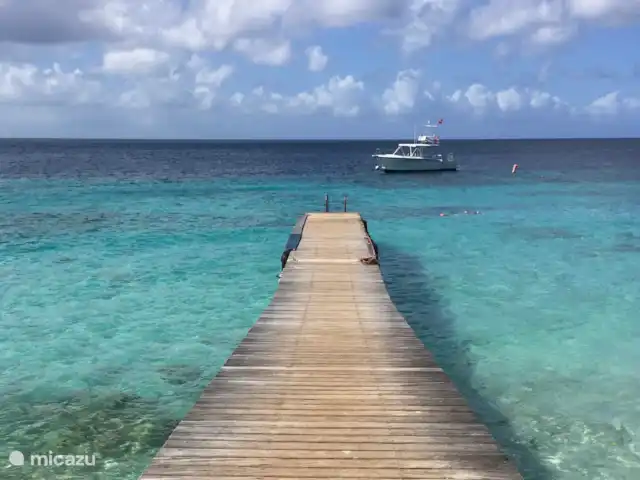 Location de Vacances Curaçao, Curaçao-Centre, Sint Michiel, appartement - Blue Bay / Appartement Triple Tree  Playa Kalki / belle vue sur la mer