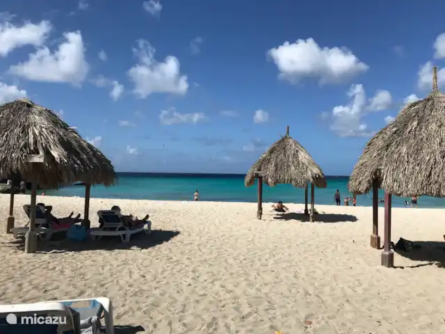 Location de Vacances Curaçao, Curaçao-Centre, Sint Michiel, appartement - Blue Bay / Appartement Triple Tree  Playa Daaibooi, toujours un bon endroit où être et vous pouvez apporter votre « propre » barbecue.