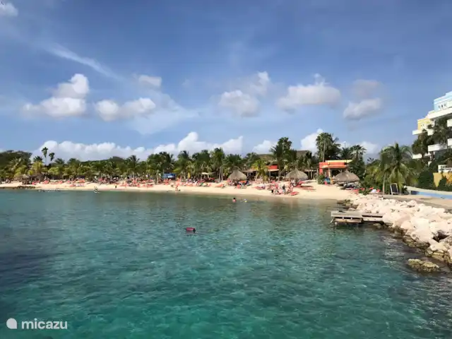 Location de Vacances Curaçao, Curaçao-Centre, Sint Michiel, appartement - Blue Bay / Appartement Triple Tree  Plage Blue Bay