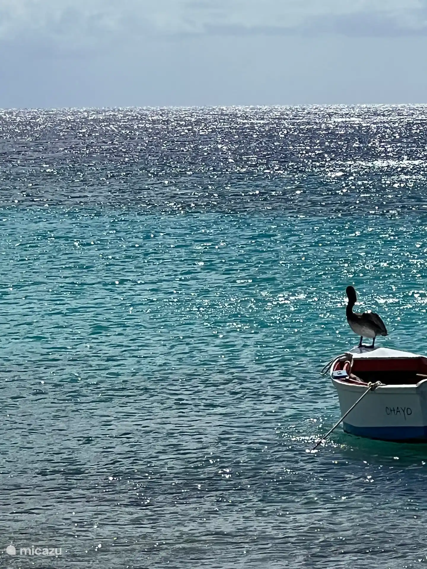 Einheimischer Fischer