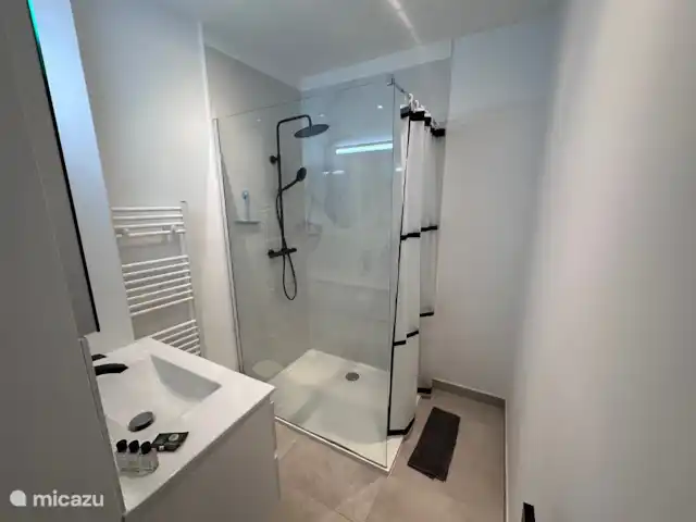ArtPartment huren in België, Antwerpen, Antwerpen - appartement Badkamer met inloopdouche, lavabo, verwarmd handdoekenrek, haardroger.