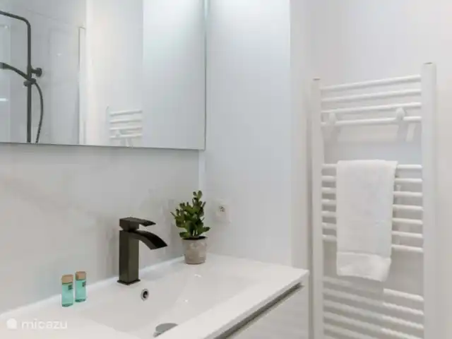 ArtPartment huren in België, Antwerpen, Antwerpen - appartement Badkamer met inloopdouche, haardroger en lavabo.