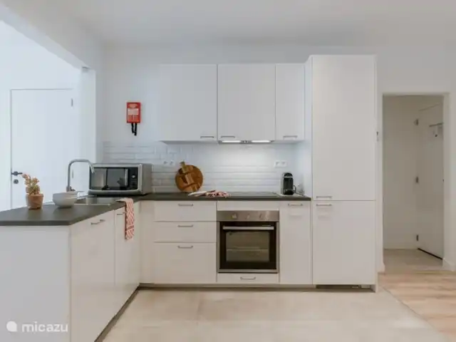 ArtPartment huren in België, Antwerpen, Antwerpen - appartement Volledig uitgeruste keuken met koelkast, oven, vaatwasmachine, microgolfoven, inductiekookplaat, koffiezet ea