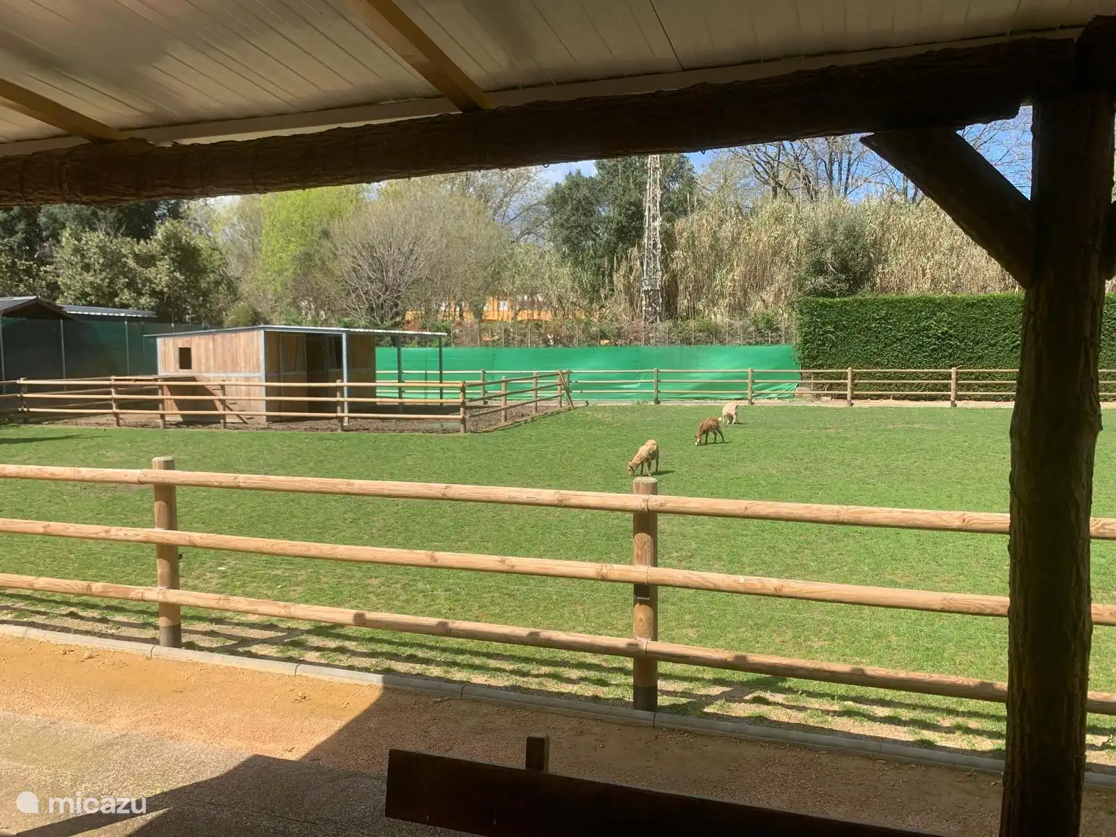 Blick vom Wohnmobil auf den Pferdestall