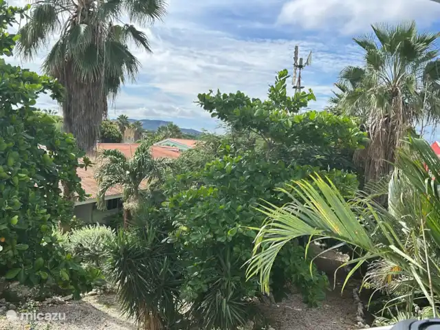 Seru Coral Resort Appartement 188 | Curaçao, Curaçao-Centre, Partisan du corail - appartement Vue sur le jardin