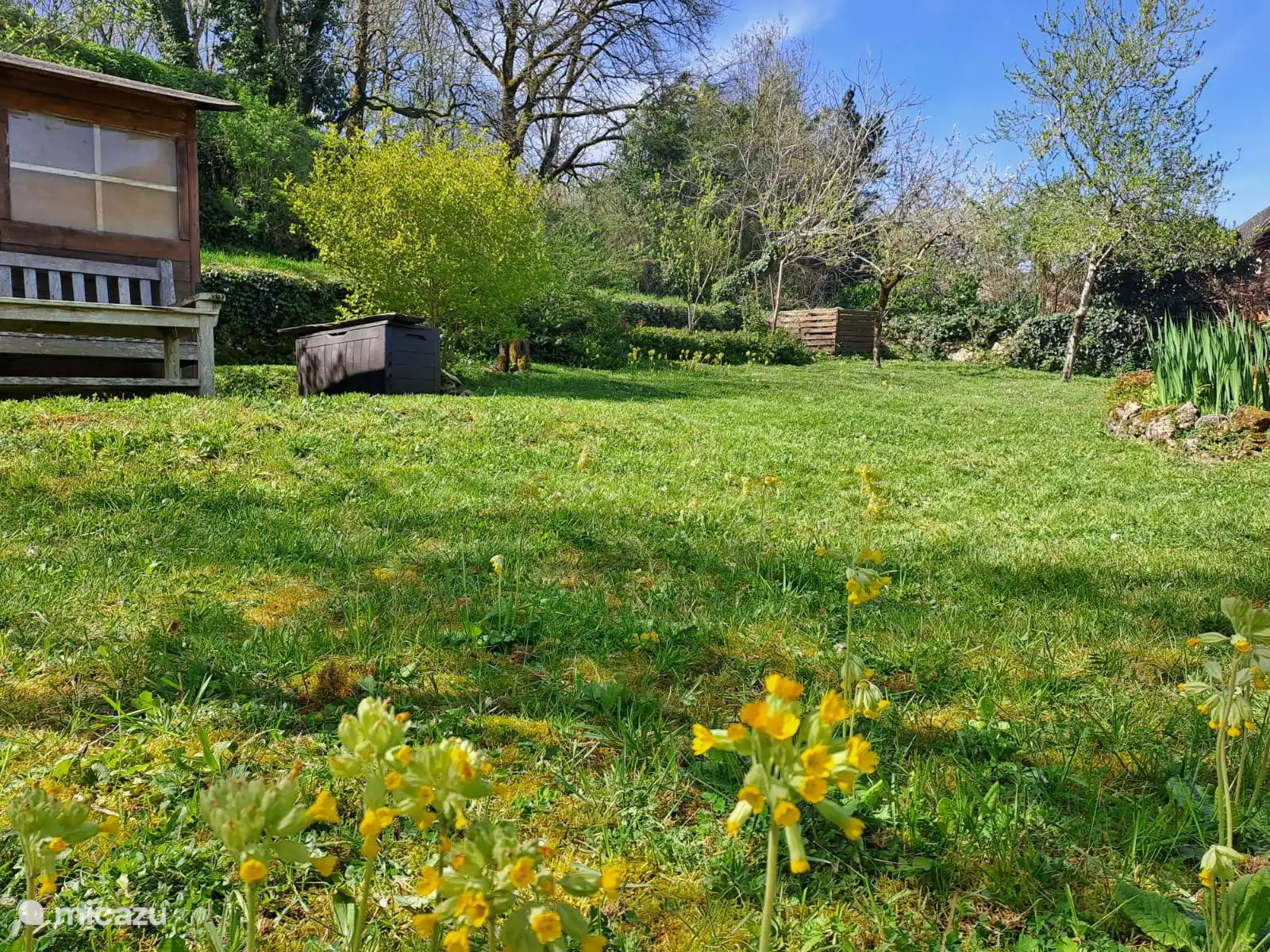Der Garten im Nordwesten, im Frühling mit den Kuckucksuhren