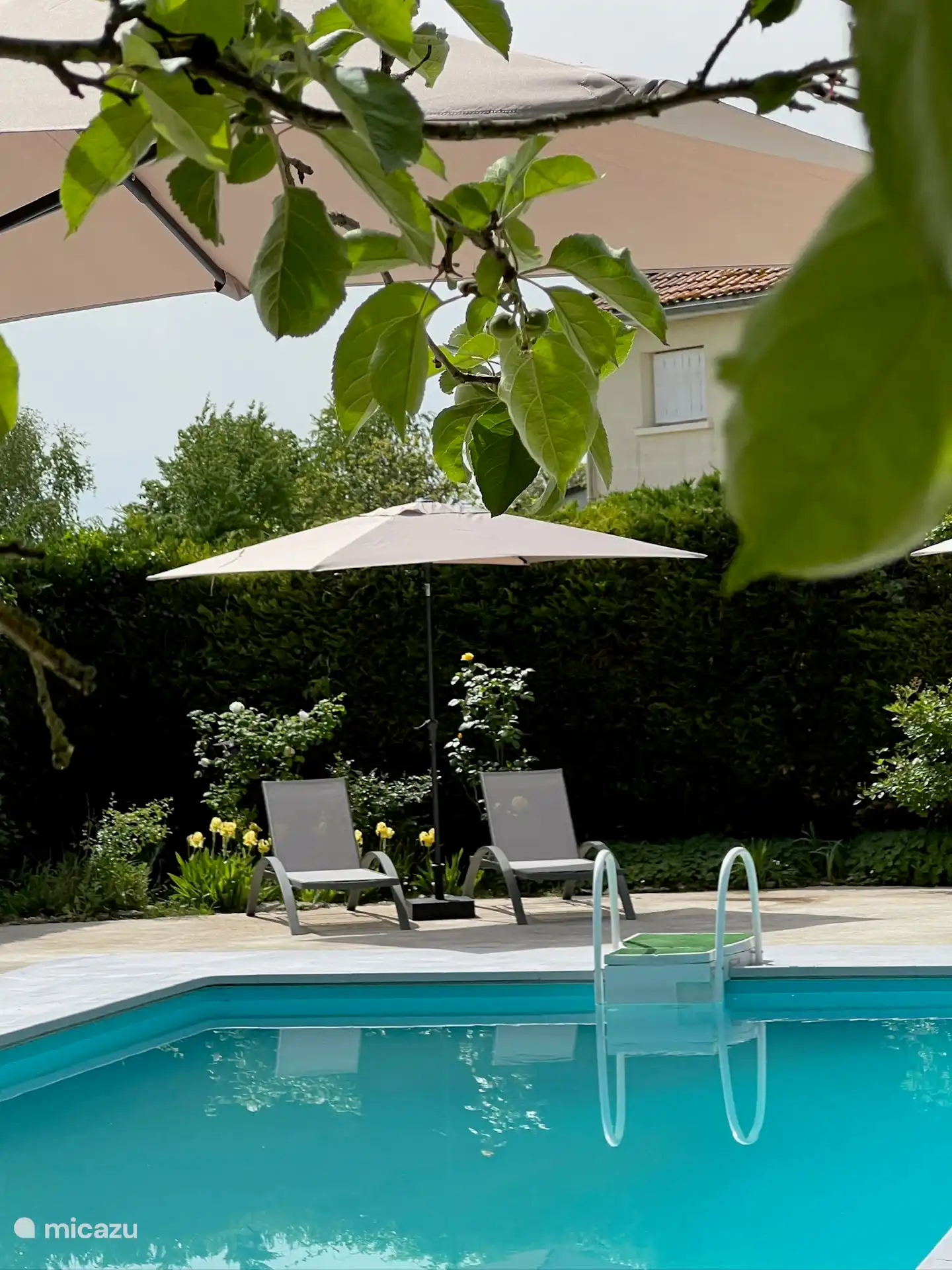 Entspannen Sie sich am Pool!