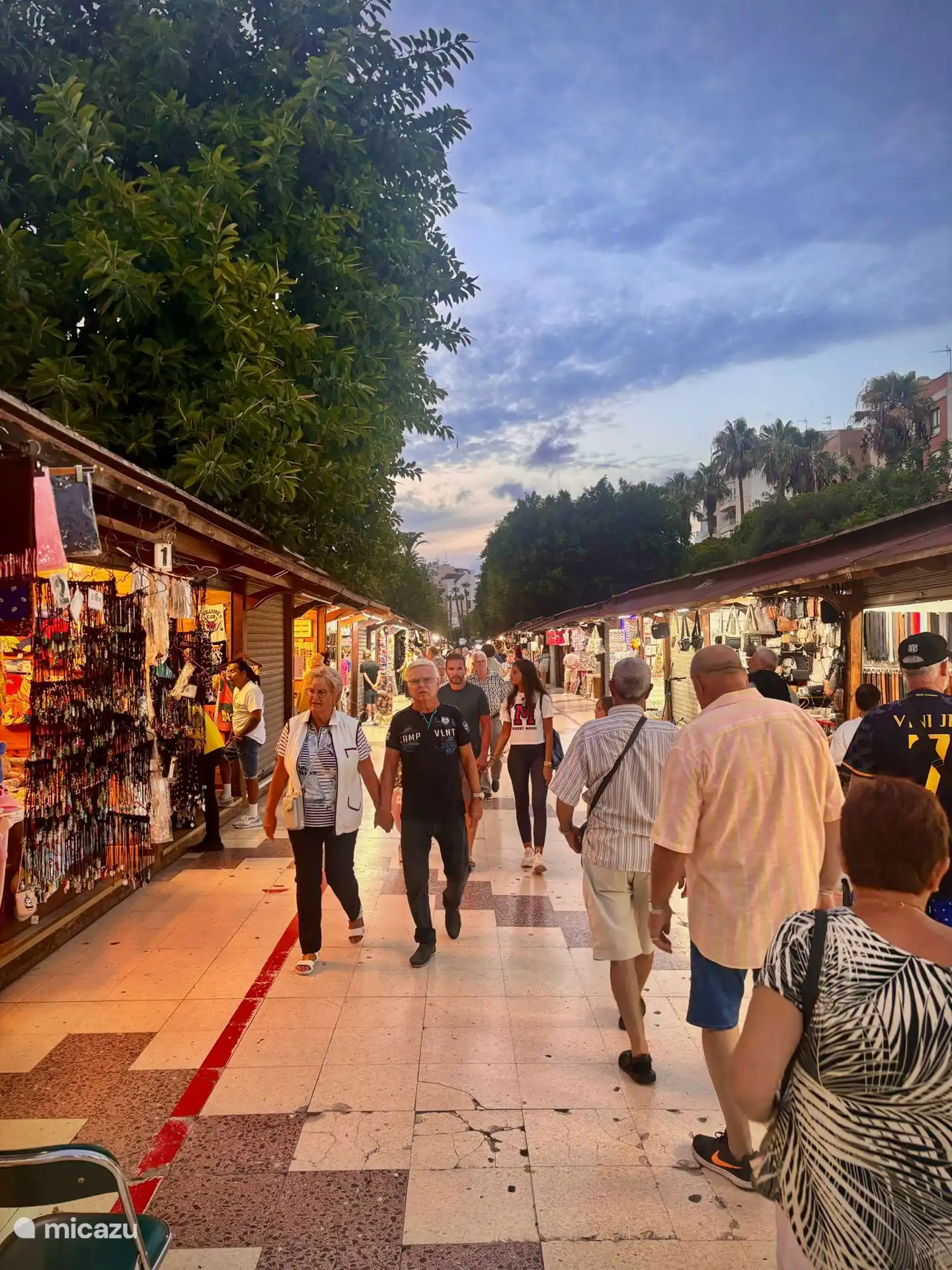 Torrevieja avondmarkt. (Venwege constructie aan de haven momenteel tijdelijk elders ondergebracht)