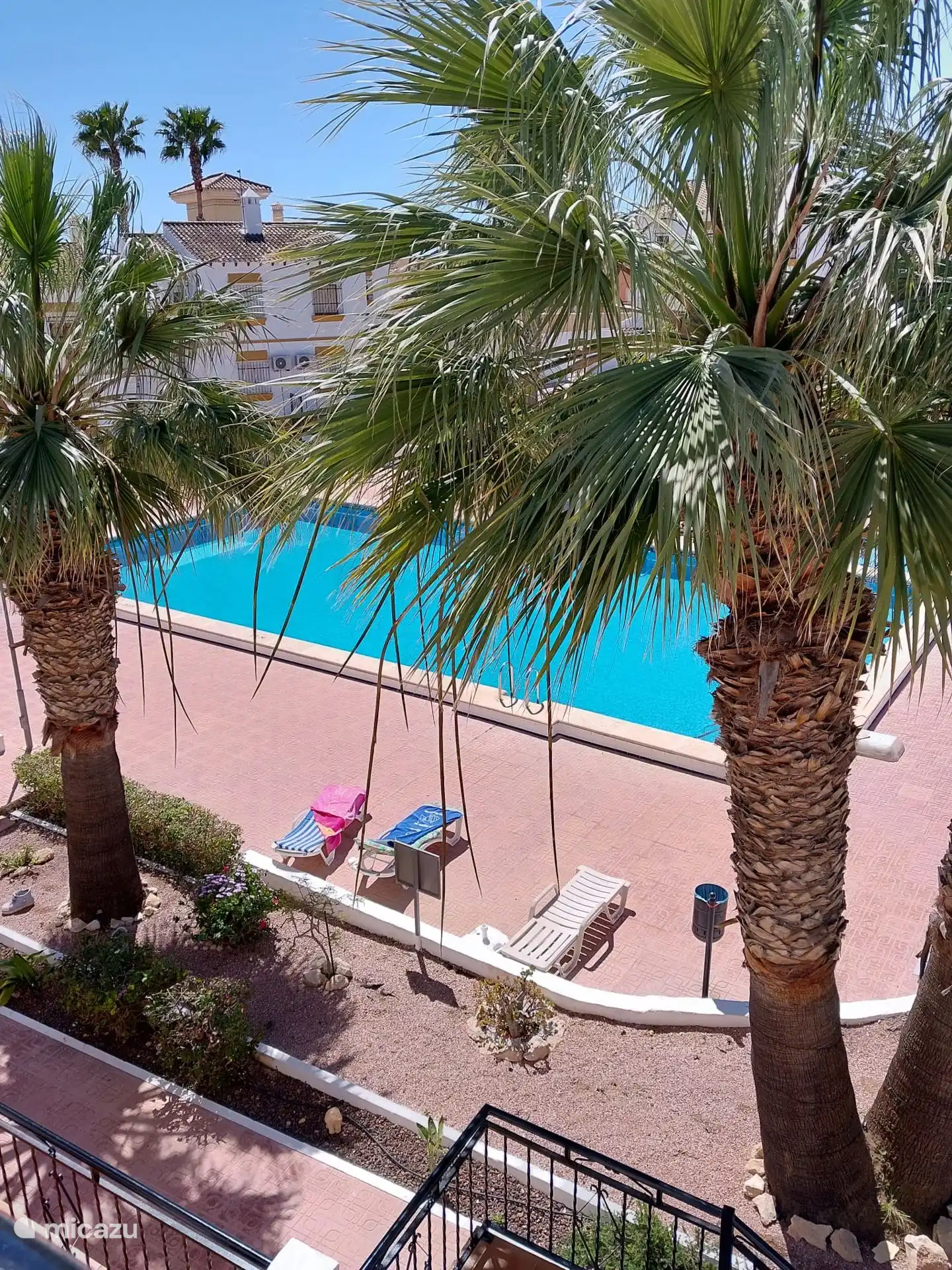 Gemeenschappelijk zwembad